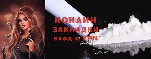 дживик Белокуриха