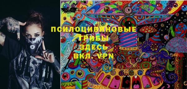 винт Богданович