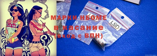 гашик Аркадак