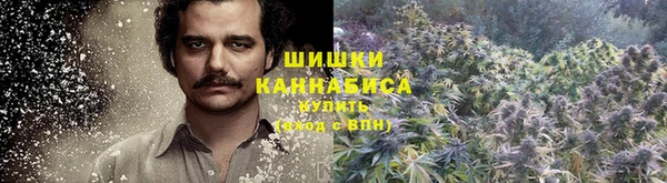 не бодяженный Бородино
