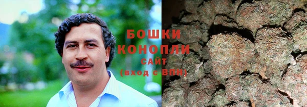 спиды Бронницы