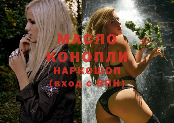 винт Богданович